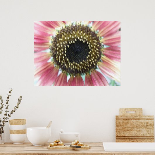 roze zonnebloem afdrukken poster (Keuken)