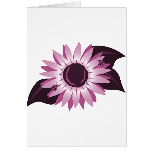 Roze zonnebloem met laedoeken (Voorkant)