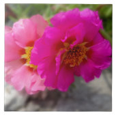 Roze zonnebloemen tegeltje (Voorkant)
