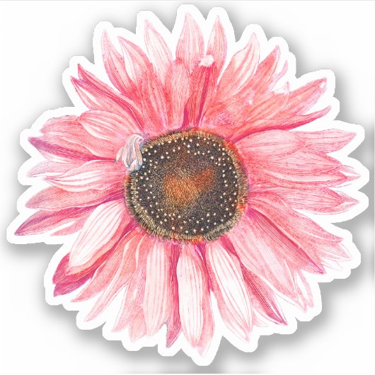  Roze zonnebloempel Sticker (Voorkant)