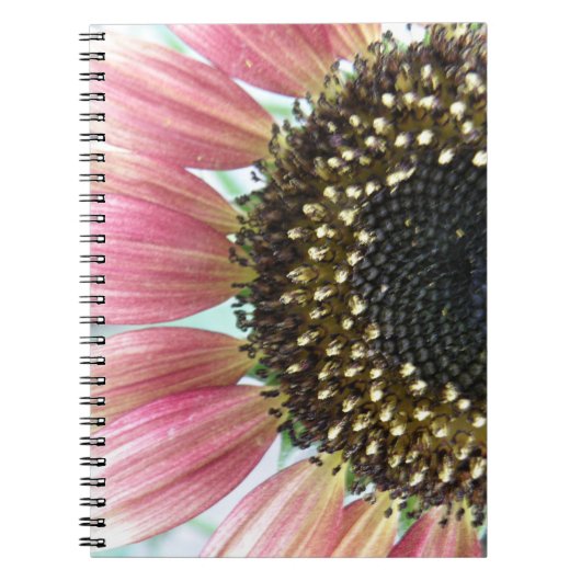 Roze zonnebloempitten Notitieboek (Voorkant)