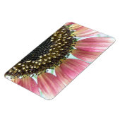 Roze zonnebloempitum Magnet Magneet (Linkerzijde)