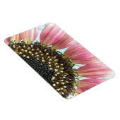 Roze zonnebloempitum Magnet Magneet (Rechterzijde)