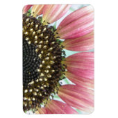 Roze zonnebloempitum Magnet Magneet (Verticaal)