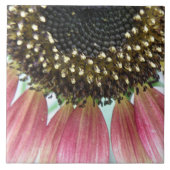 Roze zonnebloemtegel tegeltje (Voorkant)