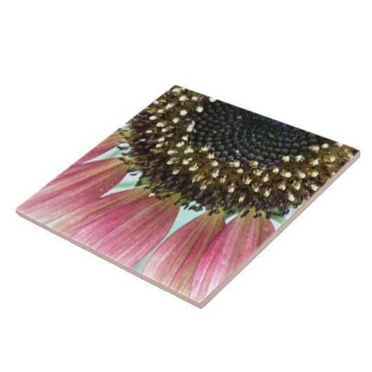 Roze zonnebloemtegel tegeltje (Zijkant)
