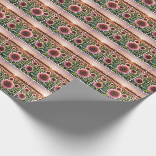 Roze Zonnebloemveld Cadeaupapier (Hoek)