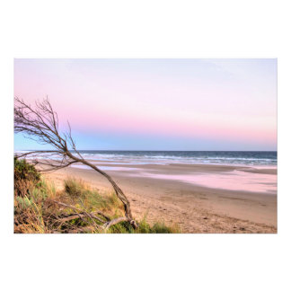 Roze zonneset foto afdruk