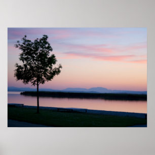 Roze zonneset poster