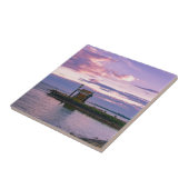 Roze zonsondergang over het meer tegeltje (Zijkant)
