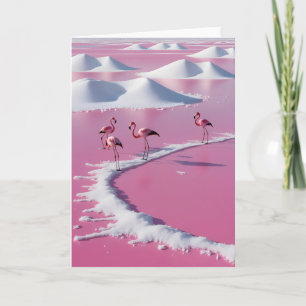 Roze zoutvlaktes van Bonaire Kaart