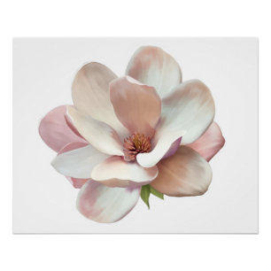 Roze zuidelijke magnolia poster