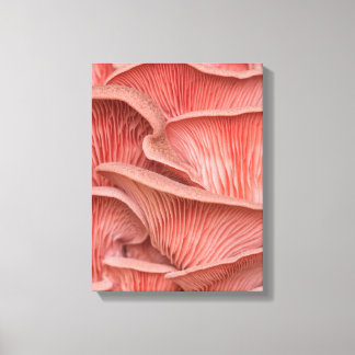 roze zwaluw canvas afdruk