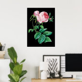 Roze zwart roos poster zwarte achtergrond (Thuiskantoor)