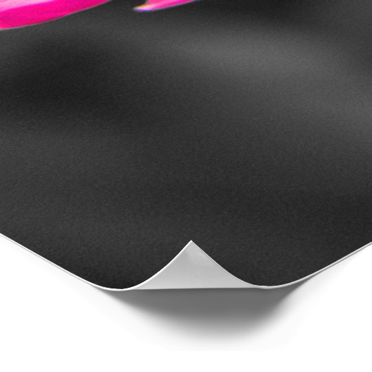 Roze zwarte witte zwart-witzwart-wit poster (Hoek)