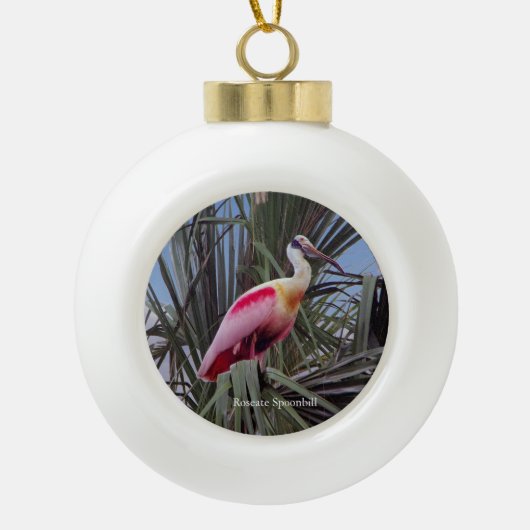 Rozeate Spoonbill bal of sneeuwvlok ornament (Voorkant)