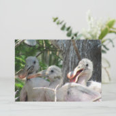 Rozeate Spoonbill Chicks Flat Kaart (Staand voorkant)
