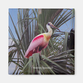 Rozeate Spoonbill magneet