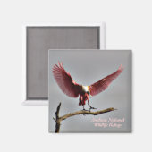 Rozeate Spoonbill Magnet (Voorkant / Achterkant)