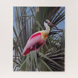 Rozeate Spoonbill puzzel