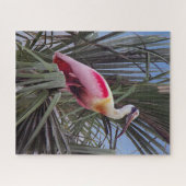 Rozeate Spoonbill puzzel (Horizontaal)