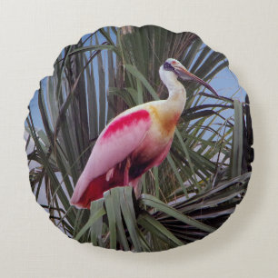 Rozeate Spoonbill rond kussen