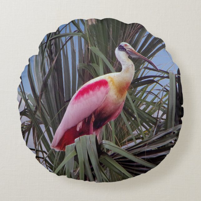 Rozeate Spoonbill rond kussen (Voorkant)