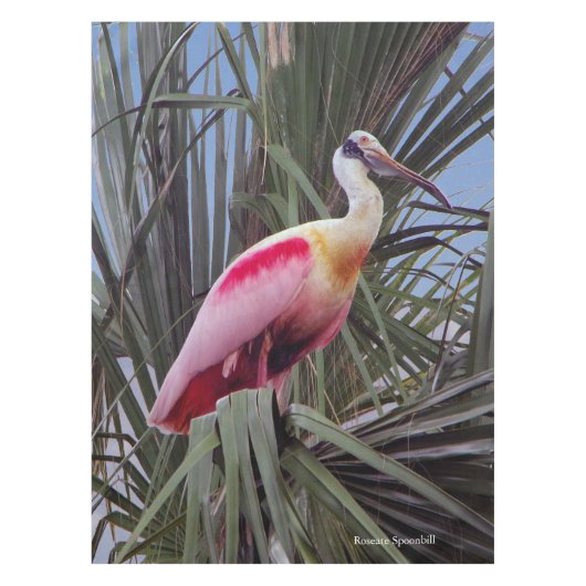 Rozeate Spoonbill tafelkleed (Voorkant)