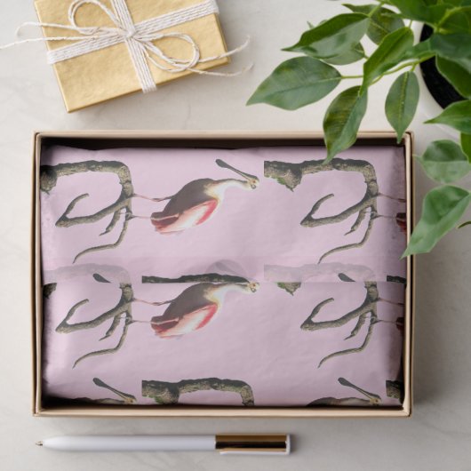 Rozeate Spoonbill Tissue Paper Tissuepapier (Geschenk)