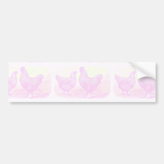 RozeFoam Bumpersticker (Voorkant)