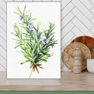 Rozemarijn Fresh Herb Waterverf Art voor Keuken Canvas Afdruk