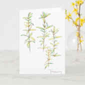 Rozemarijn Kruid Botanische Tekening Blank Note Ka Kaart (Gele Bloem)