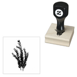 Rozemarijn Kruid Botanische Tuin Bloemen Waterverf Rubberstempel