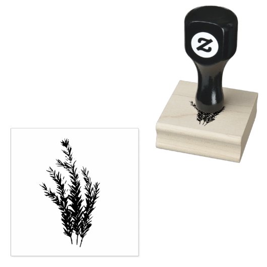Rozemarijn Kruid Botanische Tuin Bloemen Waterverf Rubberstempel (Gestempeld)