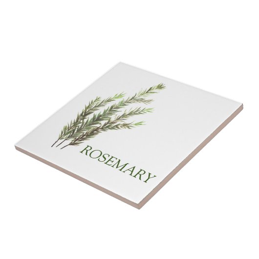 Rozemarijn Kruid Groene Keuken  Groen Tegeltje (Zijkant)