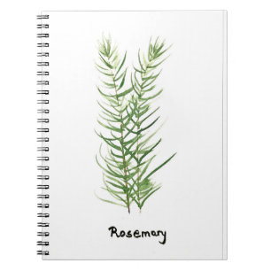 Rozemarijn kruiden keuken tuin planten aquarel notitieboek