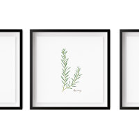 Rozemarijnillustratie | Kruiden Keuken Wandkunst