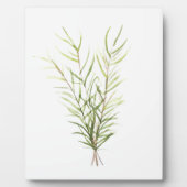 Rozemarijnkruiden Fotoplaat (Voorkant)