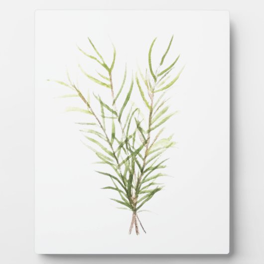 Rozemarijnkruiden Fotoplaat (Voorkant)