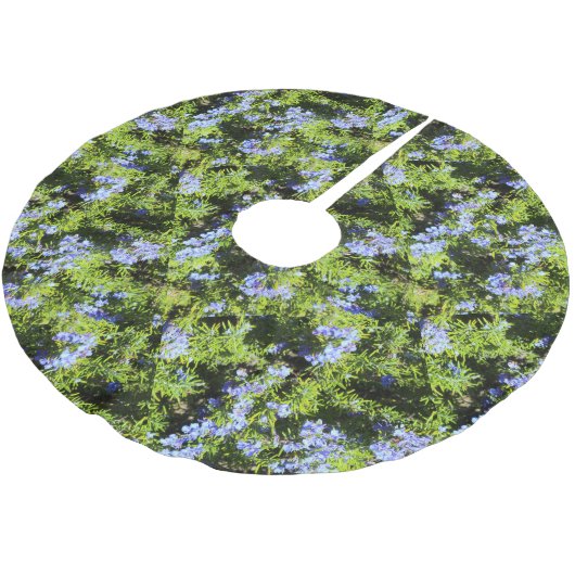 rozemarijnstruik kerstboom rok (Gekanteld)