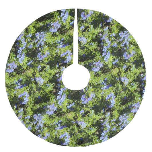 rozemarijnstruik kerstboom rok (Voorkant)