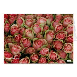 Rozen