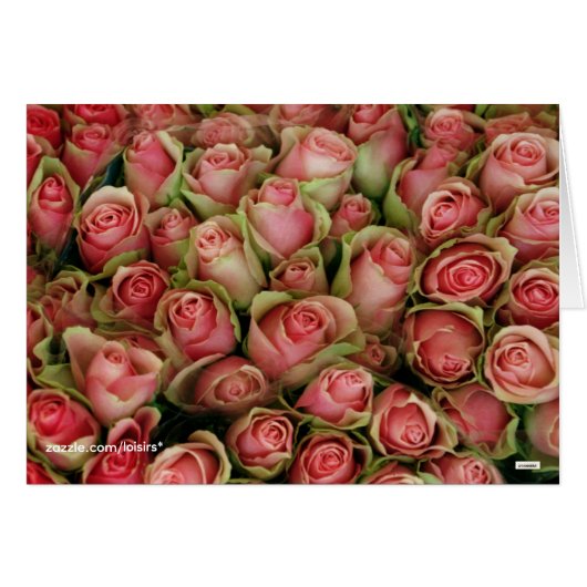 Rozen (Voorkant Horizontaal)