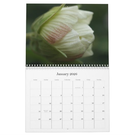 Rozen 2009 kalender (Jan 2026)