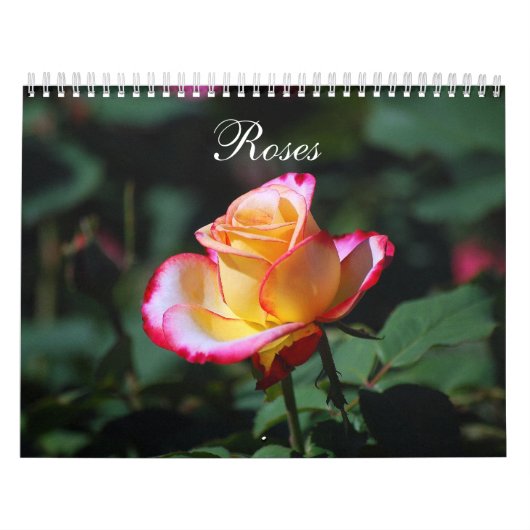Rozen 2012 Agenda Kalender (Hoes)