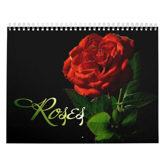 Rozen 2013 Kalender (Hoes)