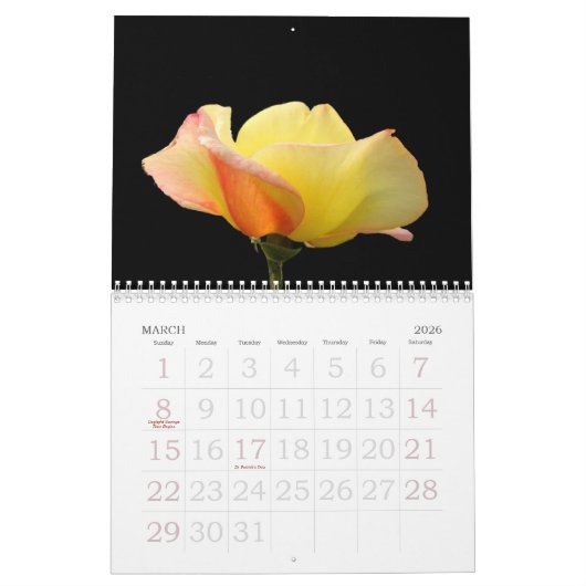 Rozen 2018 Aangepaste agenda Kalender (Mar 2026)