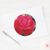 Rozen 258 ronde sticker (Envelop)