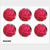 Rozen 258 ronde sticker (Vel)