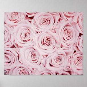 Rozen afdrukken   bloemen poster